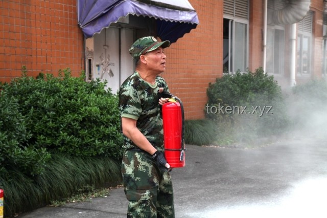 警犬带实习生实操指南：如何高效协作与安全训练